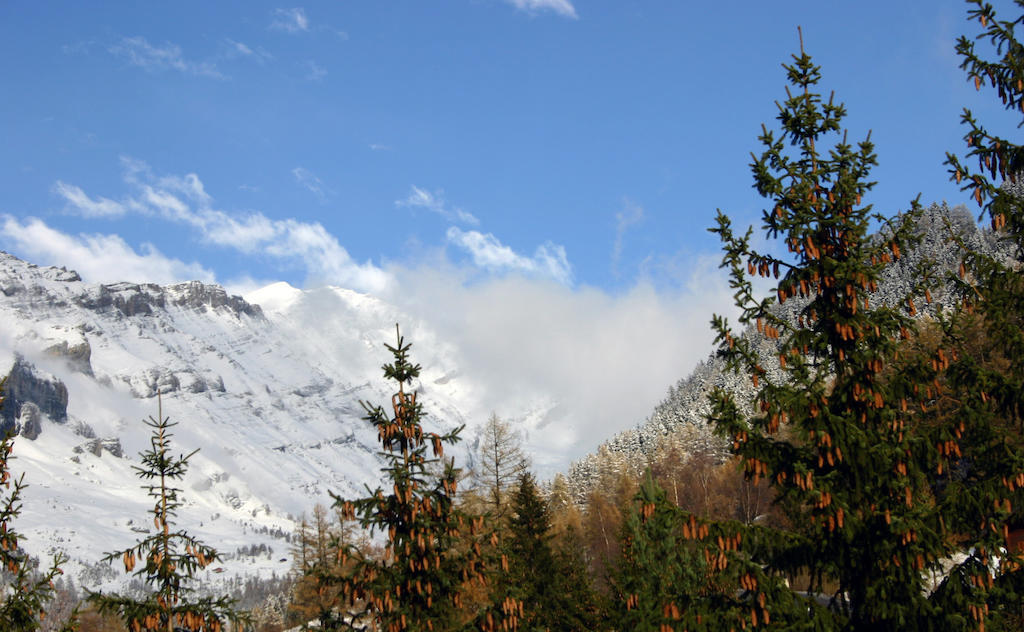 Alfa Appartements Superior Leukerbad Rom bilde